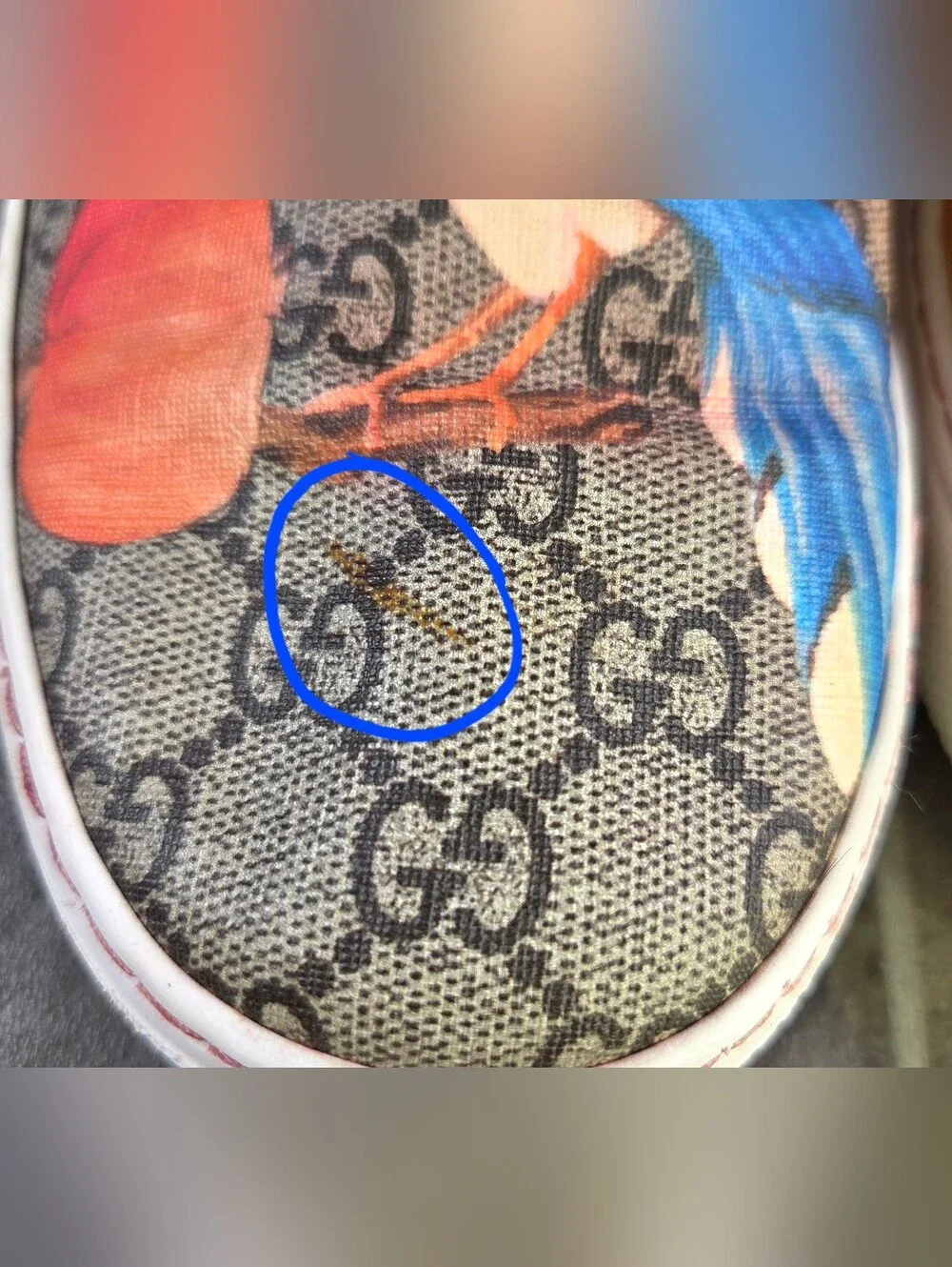 GUCCI GG SUPREME TIAN BIRD PRINT SLIP ON SNEAKERS.